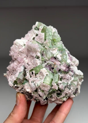 Wow ! Pink Apatite with Watermelon Tourmaline