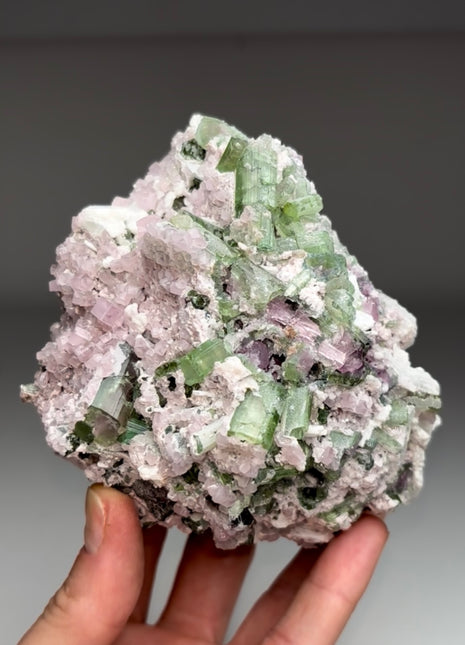 Wow ! Pink Apatite with Watermelon Tourmaline
