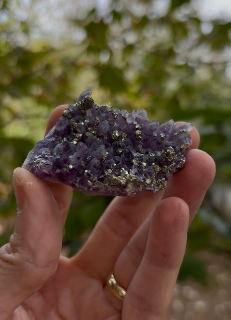 Wow ! Amethyst with Pyrite