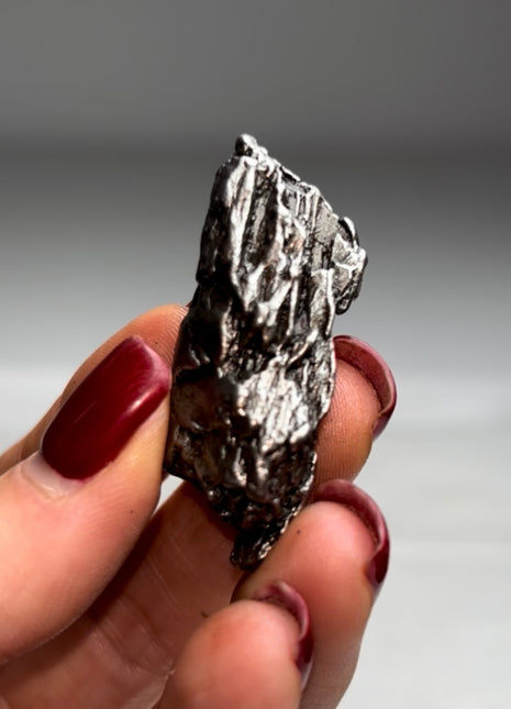Campo del Cielo Meteorite