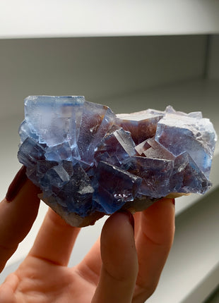 Blue Fluorite from Le Burc, France # PM0131