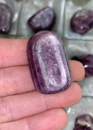 High Grade Flashy Lepidolite Lot - 9 Pieces !