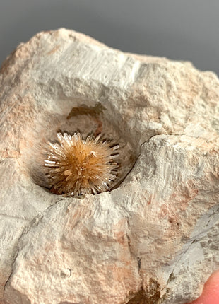 Bursting Sun Aragonite Ball in Cluster - From Pantoja, Spain