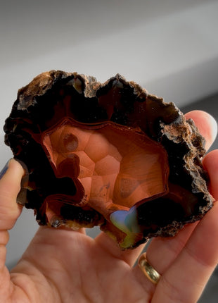 Red Fox Agate Geode from Argentina PM1547