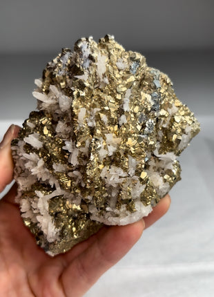 Lustrous Pyrite with Quartz - Trepca mine