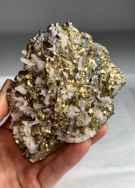 Lustrous Pyrite with Quartz - Trepca mine
