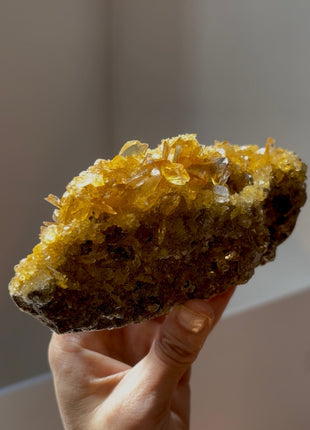 Gemmy Golden Honey Selenite from Peru 💎 PM0396