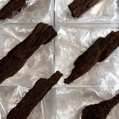 Collection image for: Permineralized Fossil Wood