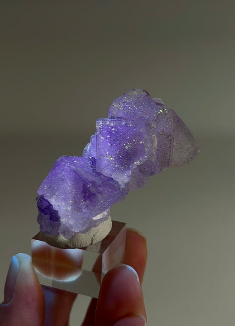 New Arrival ! Galaxy Fluorite