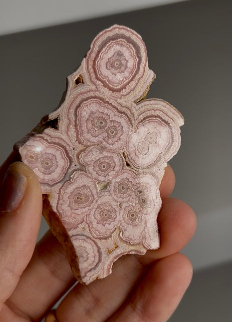 Pink Orbicular Rhodocrosite - From Argentina