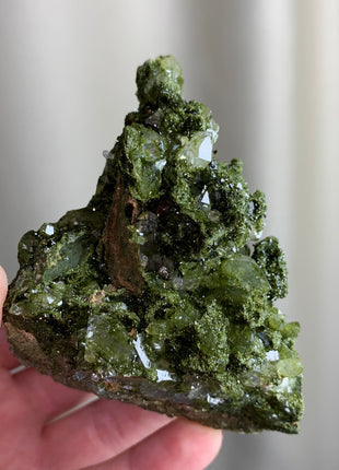 Forest Epidote with Quartz  🌲