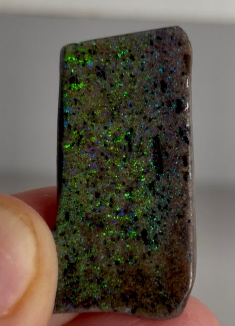 Australian Andamooka Fire Opal PM1148 🌈