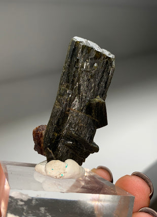 New Arrival ! Red Garnet var. Andradite with Glossy Epidote - From Mali