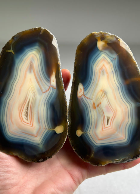 Wow ! Timor Agate Pair*