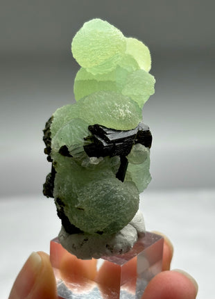 New ! Green Prehnite with Epidote - From Mali