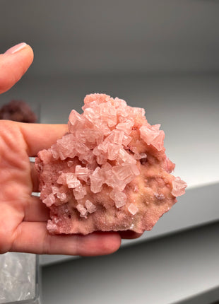 9 Piece Lot ! High Grade Pink Halite from Searles Lake, California