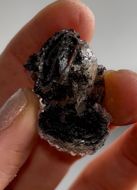 Black Barite Roses