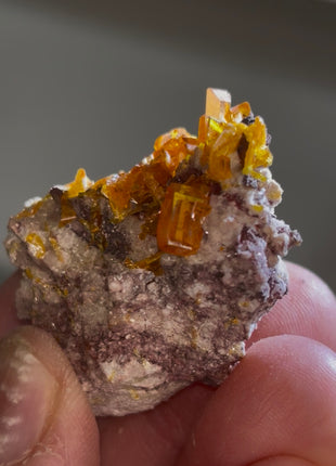 Wulfenite from Rowley mine, Arizona