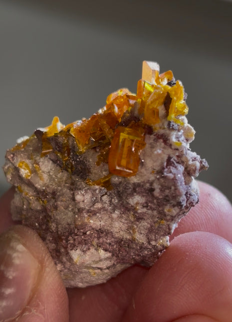 Wulfenite from Rowley mine, Arizona