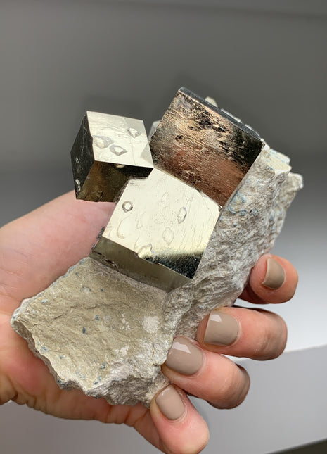 New ! Cubic Pyrite on Matrix from Navajun, Spain 10