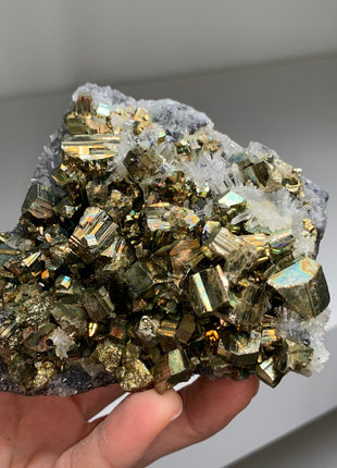 Rainbow Pyrite with Quartz - Borieva mine, Rhodope Mtns