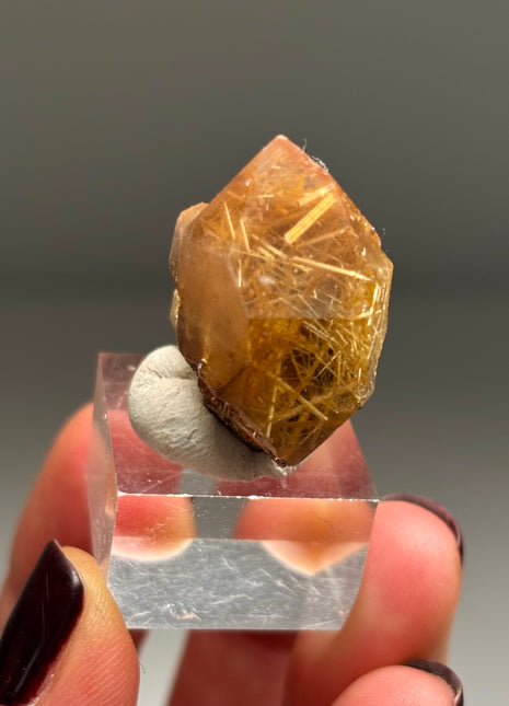 Quartz with Rutile and Hematite - from Novo Horizonte