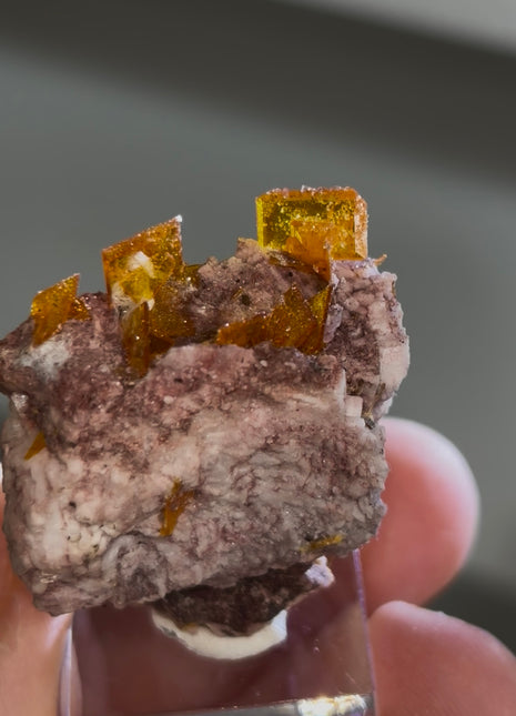 Wulfenite from Rowley mine, Arizona