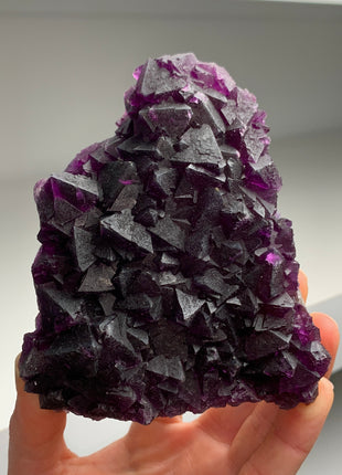 Octahedral Reddish Purple Fluorite