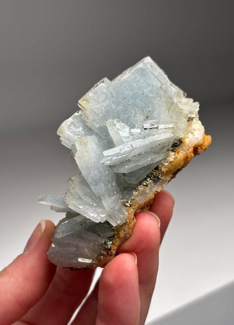 Tabular Blue Barite with Pyrite DW002