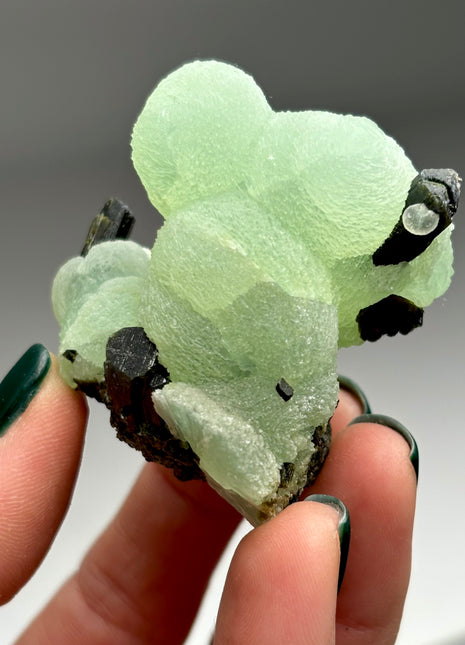 New ! Green Prehnite with Epidote - From Mali