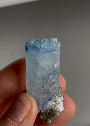 DT Blue Cap Aquamarine