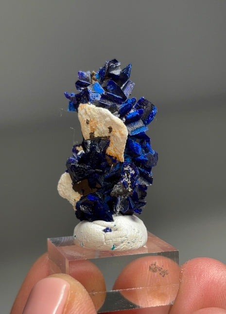 Rich Blue Azurite Specimen