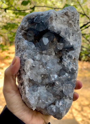 Blue Celestite Geode from Madagascar