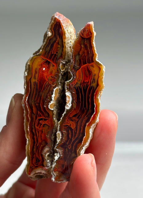 Rare ! Black Sea Agate Pair