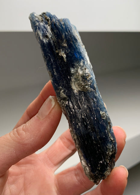 XL ! Rich Blue Kyanite with Mica - From Zambia - 6 Pieces 11