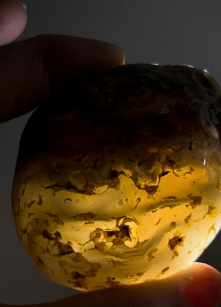 Rare Enhydro Agate PM1002