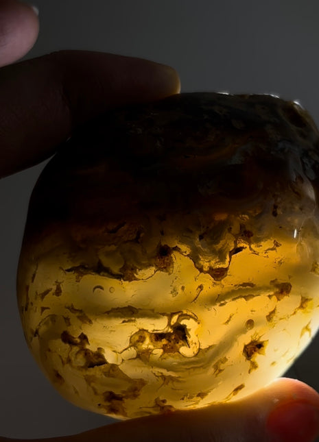 Rare Enhydro Agate PM1002