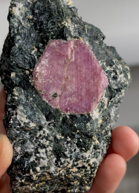 Ruby in Matrix from Tanzania Collection # 781