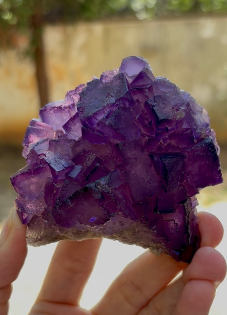 New find ! Fluorite from Turkey PM1060