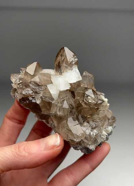 Smoky Quartz with Adularia 💎From Galenstock, Switzerland