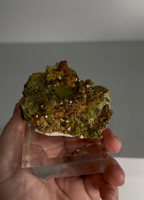 Wulfenite with Mimetite Specimen