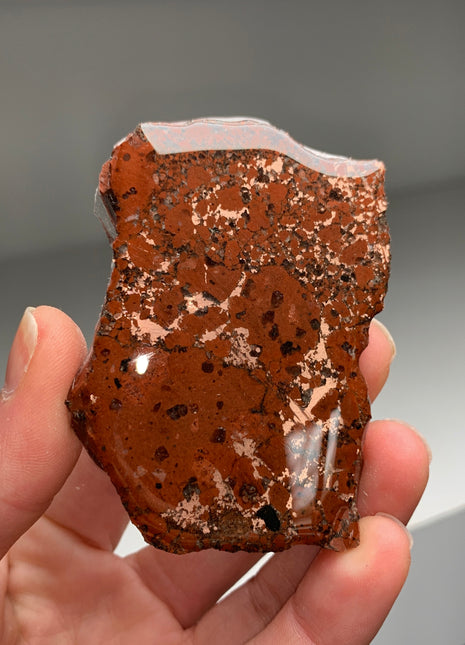 Wow ! Copper with Red Conglomerate Specimen - From Keweenaw Peninsula, Michigan