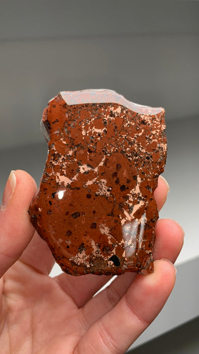Wow ! Copper with Red Conglomerate Specimen - From Keweenaw Peninsula, Michigan