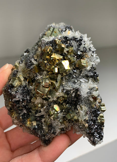 Finest ! Pyrite with Quartz, Sphalerite - Borieva mine, Rhodope Mtns