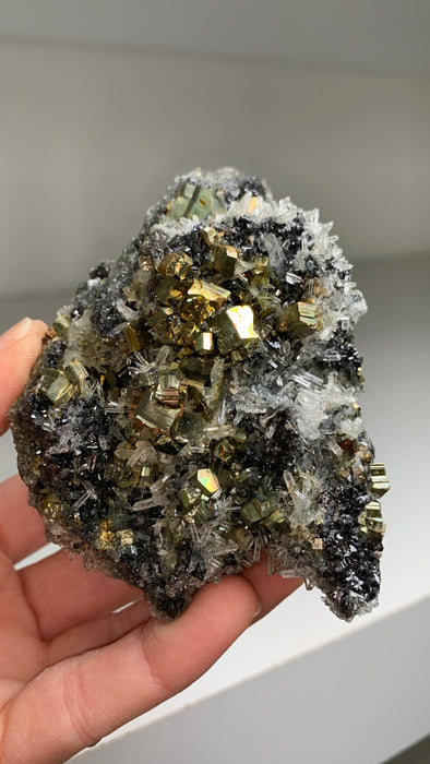 Finest ! Pyrite with Quartz, Sphalerite - Borieva mine, Rhodope Mtns