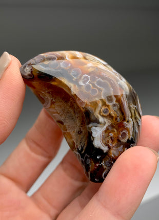 New ! Enhydro Agate from Brazil