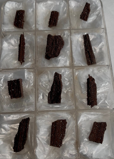 12 Pieces ! Permineralized Fossil Wood Fairy Wood Lot