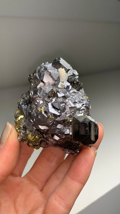 Metallic Combo ! Sphalerite with Galena, Pyrite - From Trepca mine