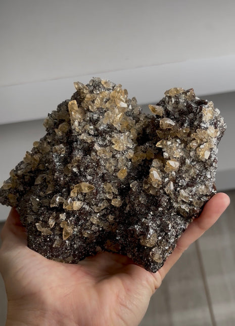 Sphalerite with Golden Calcite from Elmwood mine Collection # 740