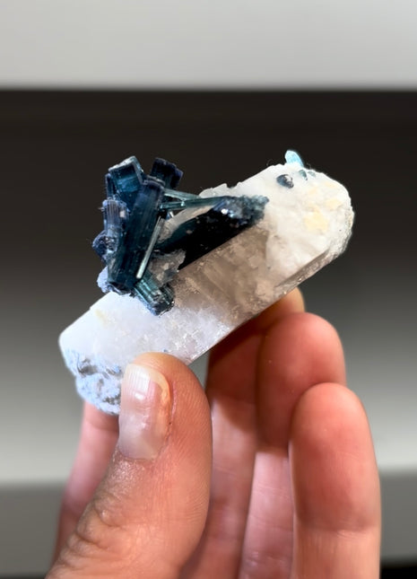 Blue Indicolite Tourmaline on Feldspar
